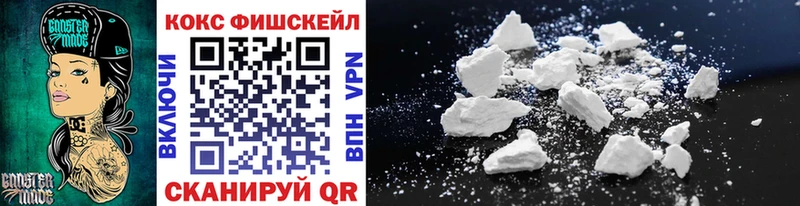 COCAIN Fish Scale  Купить закладки  Шарыпово 