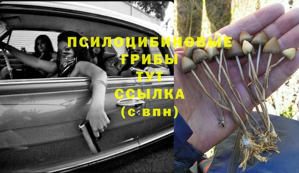PSILOCYBIN Баксан