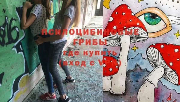 твердый Балахна