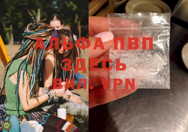 PSILOCYBIN Баксан