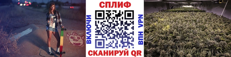 Конопля AK-47  Купить где  Шарыпово 